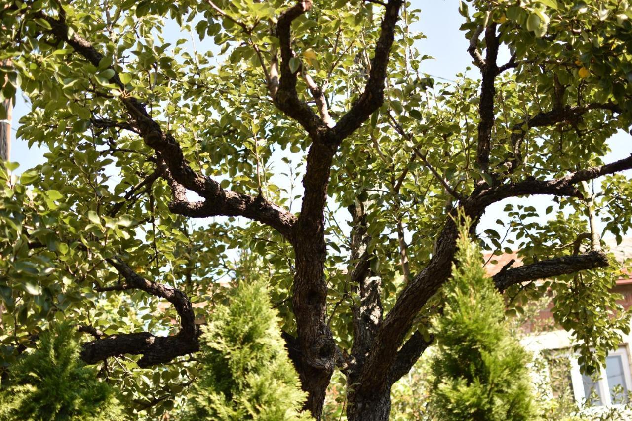 Konak Garavi Sokak Kursumlija Exterior foto