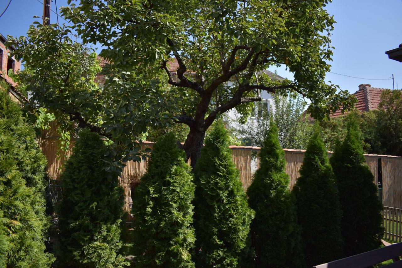Konak Garavi Sokak Kursumlija Exterior foto